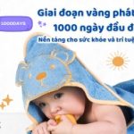 Giai đoạn vàng phát triển 1000 ngày đầu đời – Nền tảng cho sức khỏe và trí tuệ suốt đời